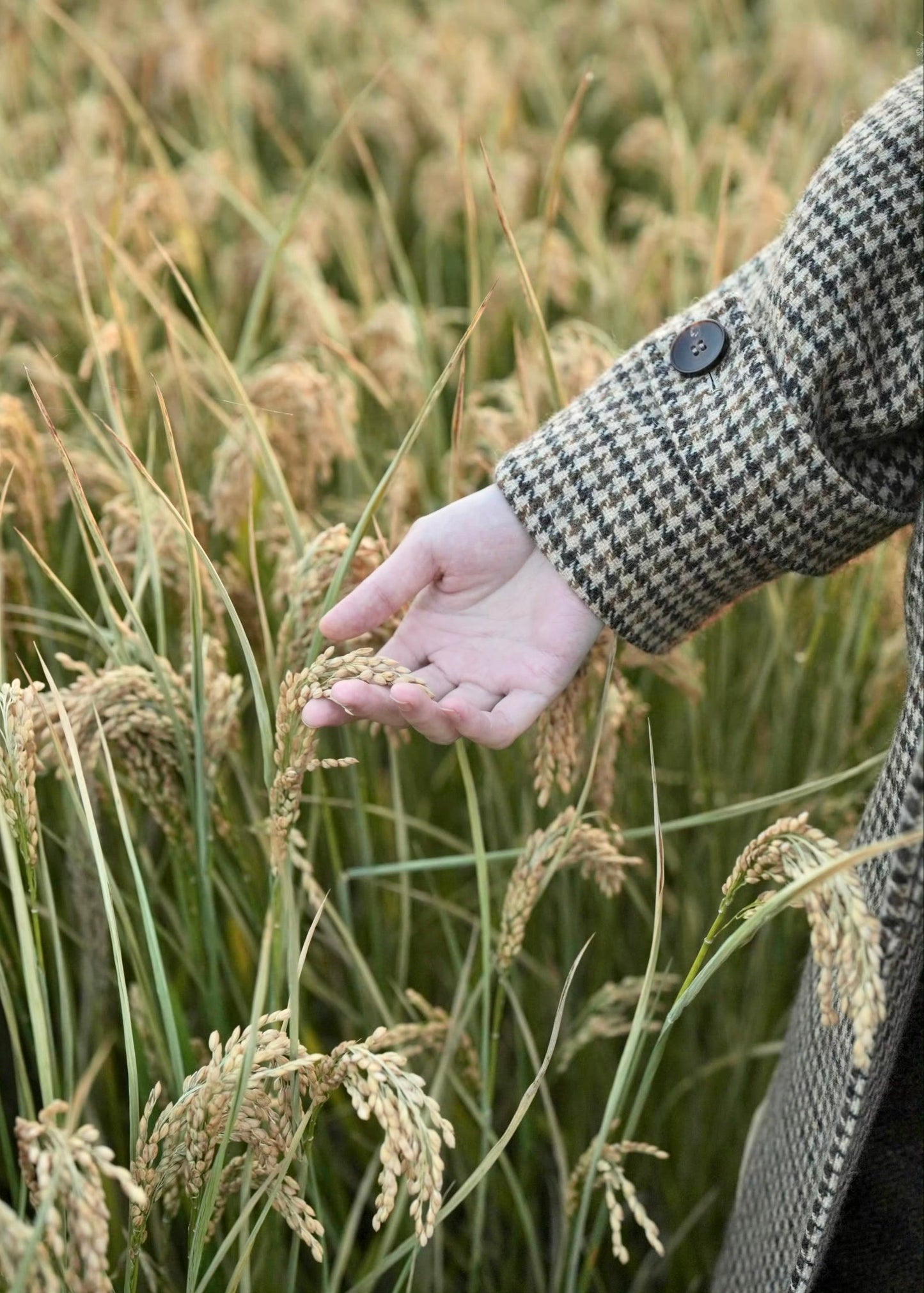 long balmaccan coat made with 100% wool with brown houndstooth or checkered pattern for women