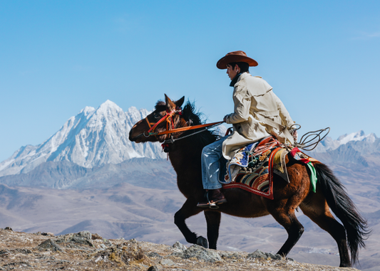 Moonland classic khaki trench coat with detachable insulation layer, back view, double breasted with epaulettes and waist straps